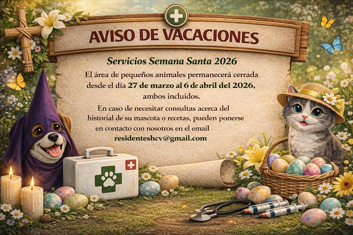 SERVICIOS SEMANA SANTA 2026